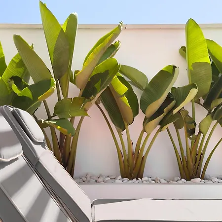 Beachfront Luxury Rooftop Penthouse Wifi Pools Grill I O Nac Paddle * Marbella